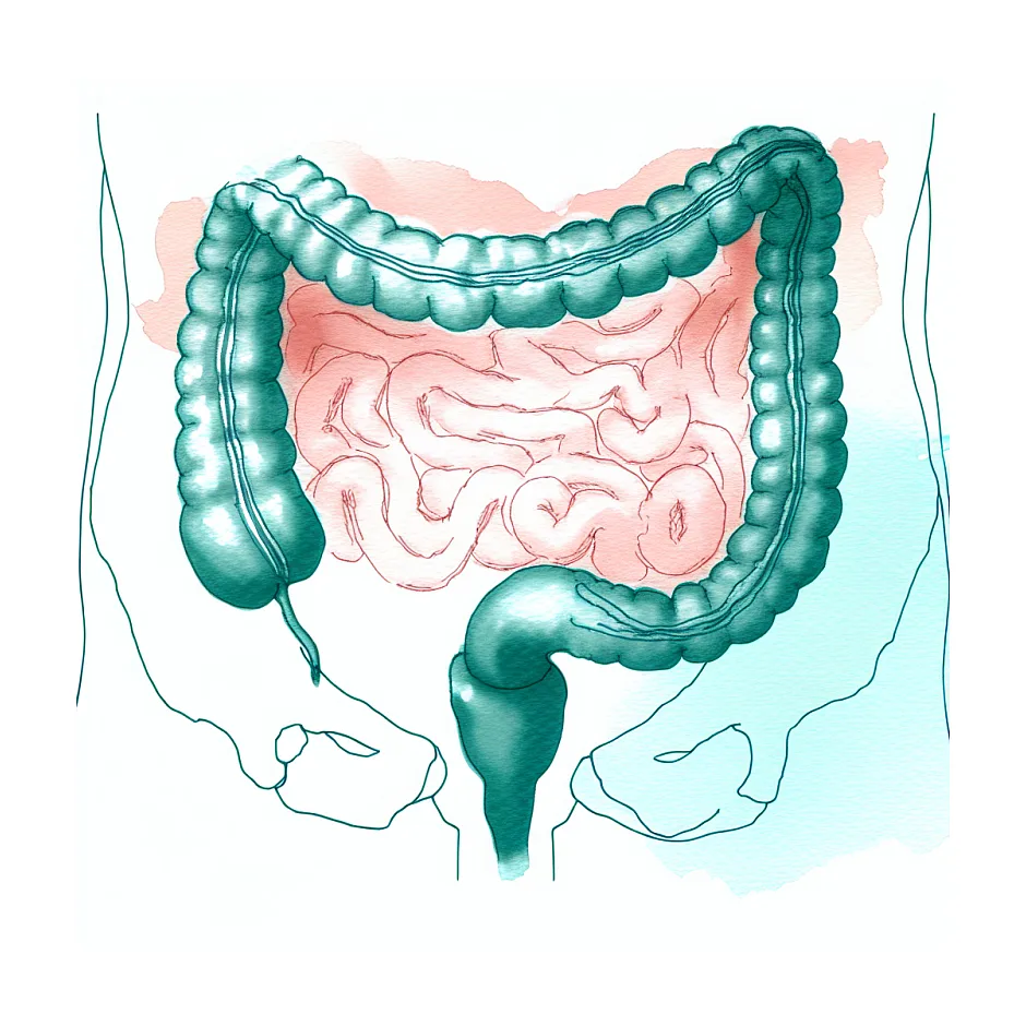 تاثیر سندروم روده تحریکپذیر (IBS) بر روابط جنسی