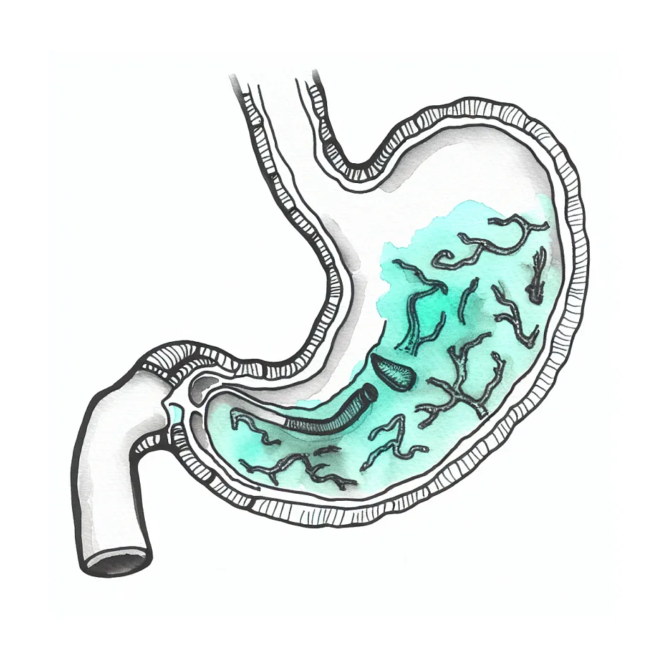 علت سنگینی معده و حالت تهوع همیشگی