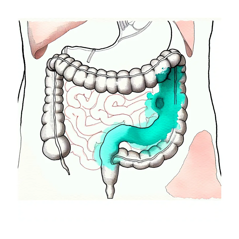 دلیل نفخ شکم و بادکردن شکم و درد زیر شکم چیست؟