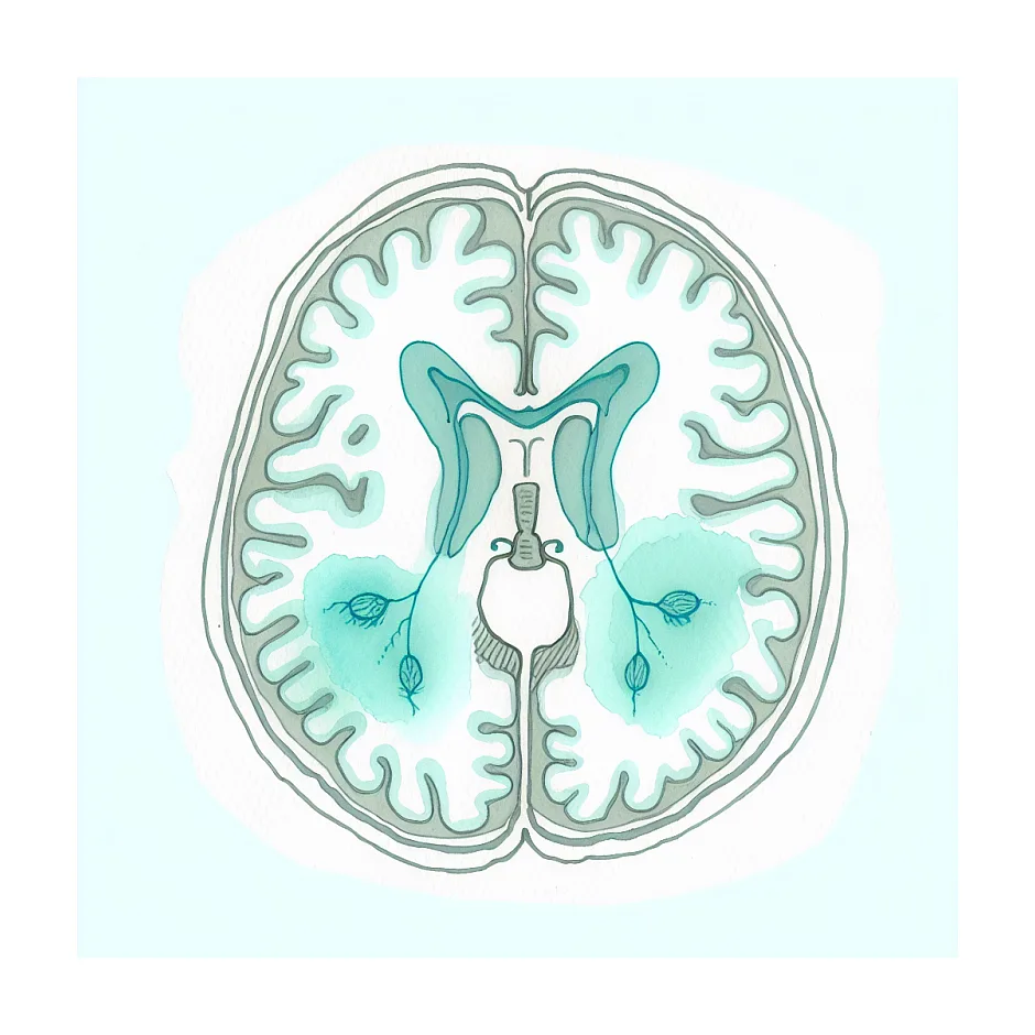 قطع گاباپنتین و تری‌فلوئوپرازین