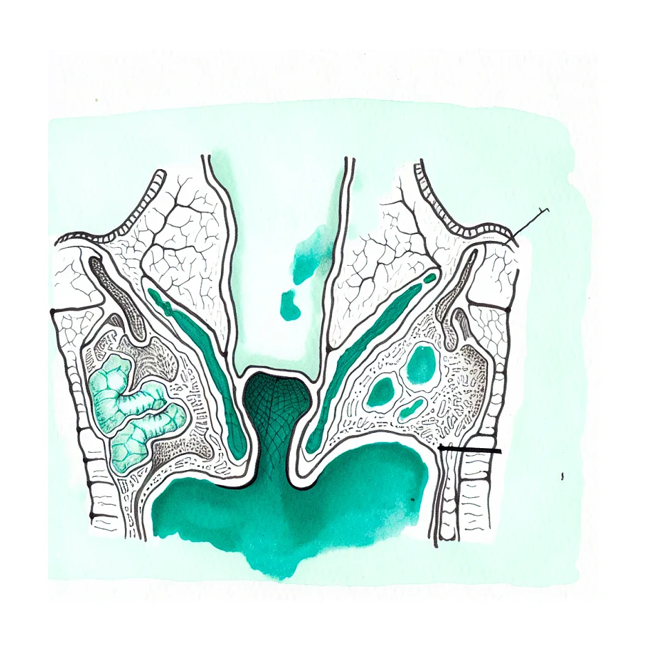همزمانی مصرف سیتریزین و زادیتن: موارد مجاز و نکات ایمنی