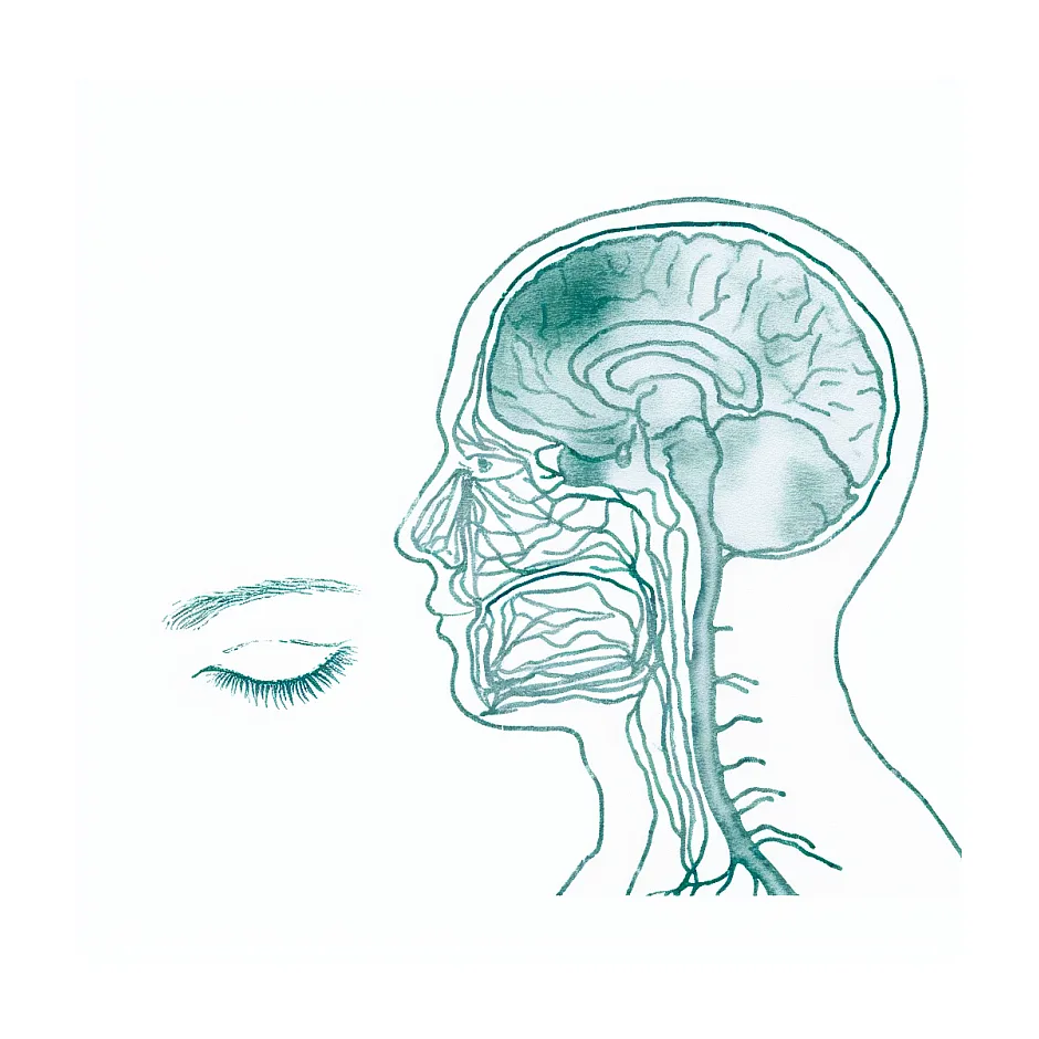 گزگز صورت، سرگیجه و تپش قلب — دلایل و اقدامات