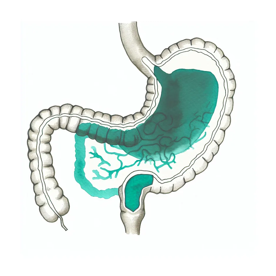 آیا اتیسترون حالت تهوع ایجاد می کند؟