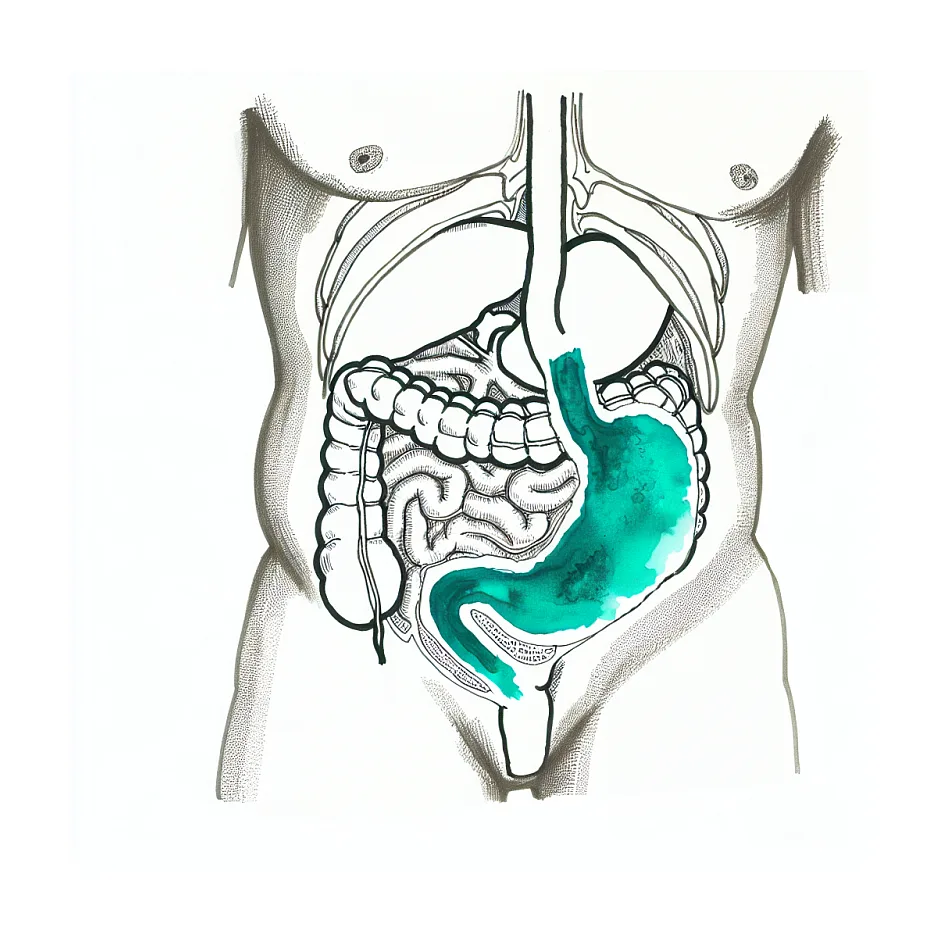 علت دل درد و ماشین گرفتگی هنگام حرکت در ماشین چیست؟