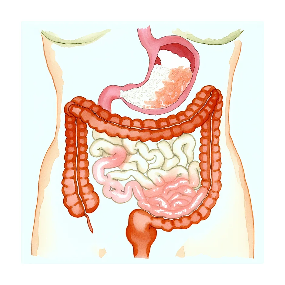 آیا مصرف ماست برای کودک جایگزین شیر می‌تواند باشد؟