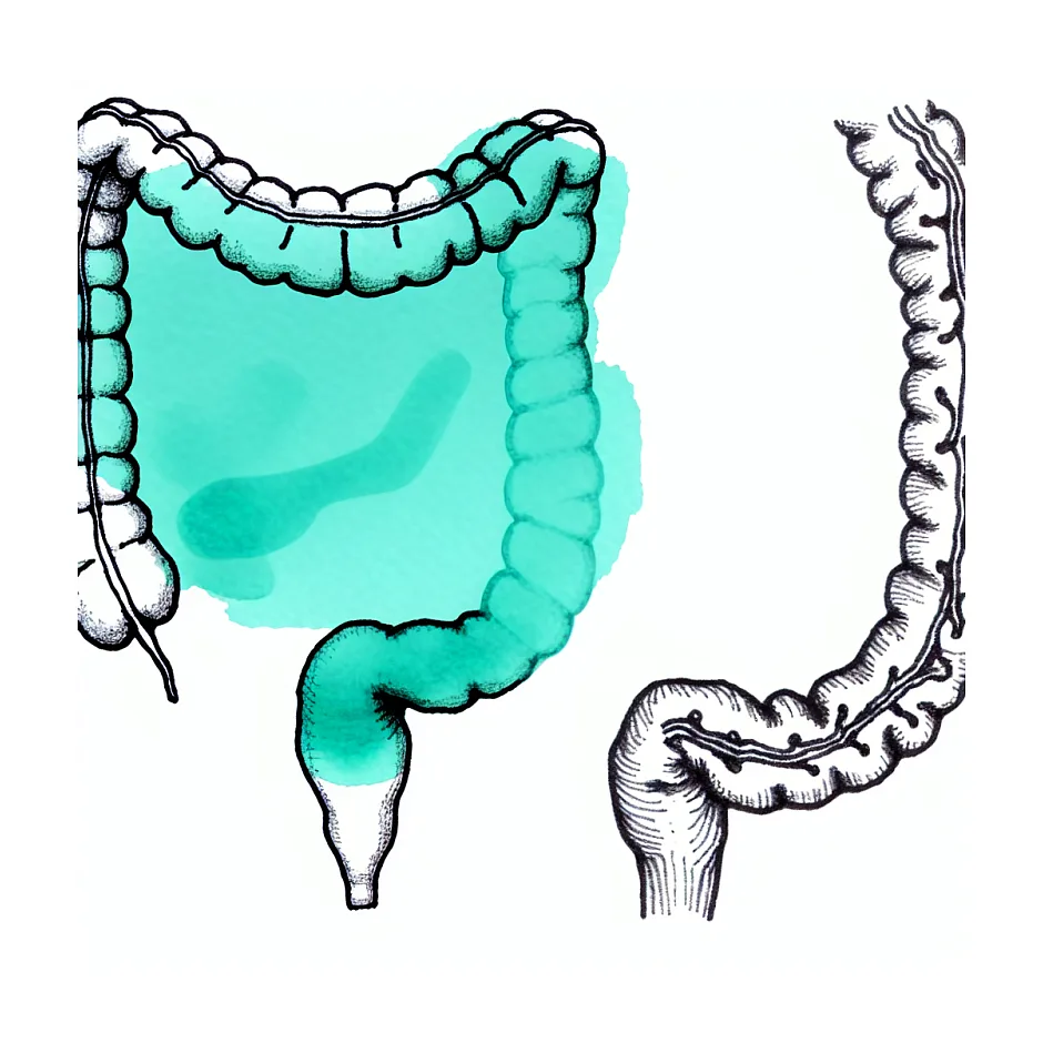 مضرات و فواید مصرف طولانی مدت پروبیوتیک: آیا آن امن است؟