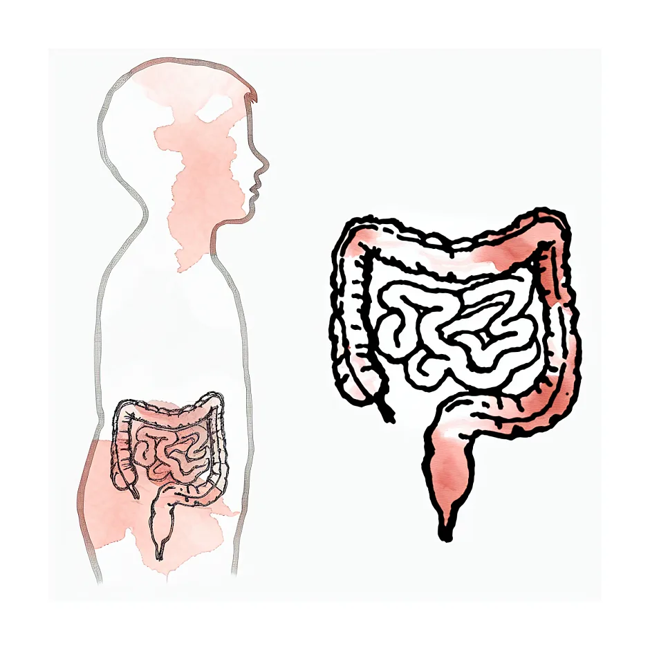 تکرر مدفوع در کودک دو ساله؛ چه کاری انجام دهیم؟