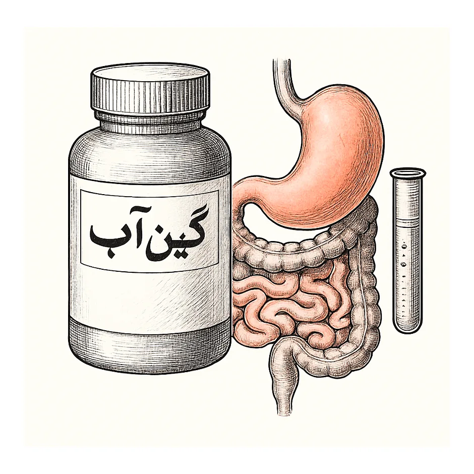 راهنمای مصرف پودر گین‌آپ و تهوع