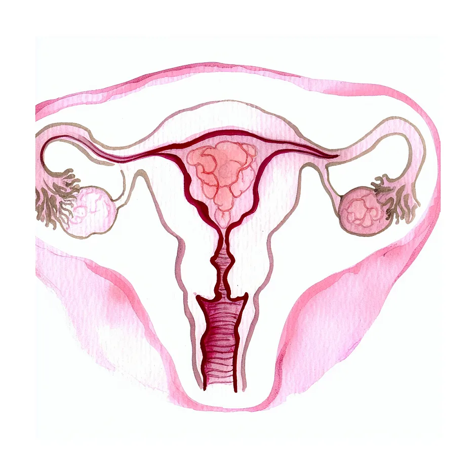 چگونه و چه زمانی کیت تخمک گذاری را امتحان کنیم؟