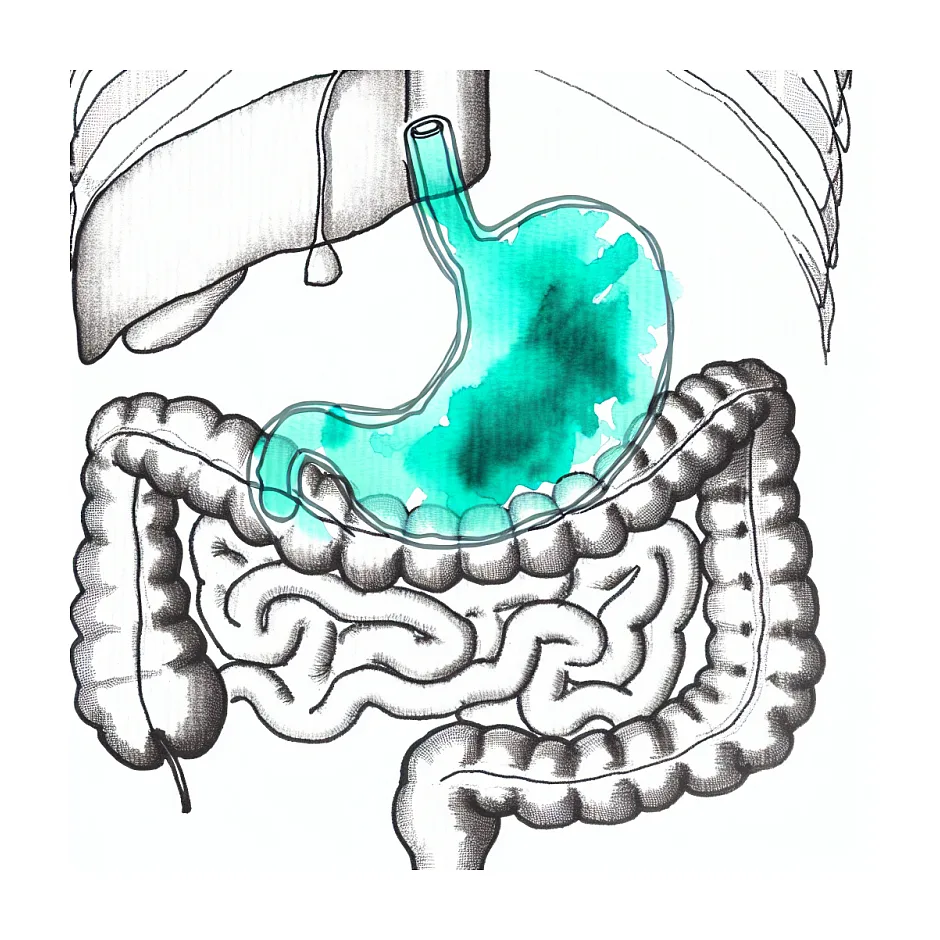 حالت تهوع بدون استفراغ — آیا علت عصبی دارد؟ چه زمانی باید به پزشک مراجعه کنم