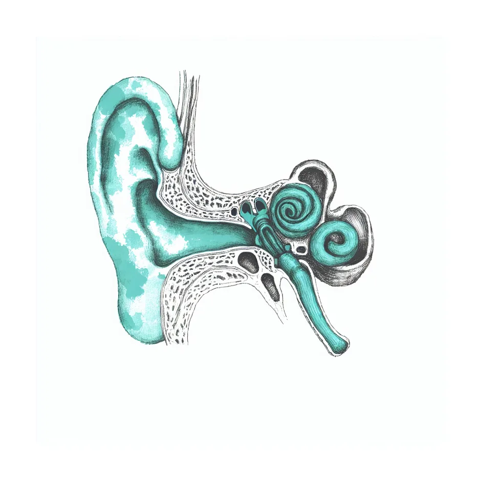 مدتی که وزوز گوش دارم می تواند خطرناک باشد؟ نیاز به MRI دارد؟