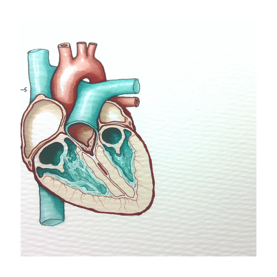 تاثیر شربت کتوتیفن بر دریچه قلب | اطلاعات دقیق پزشکی
