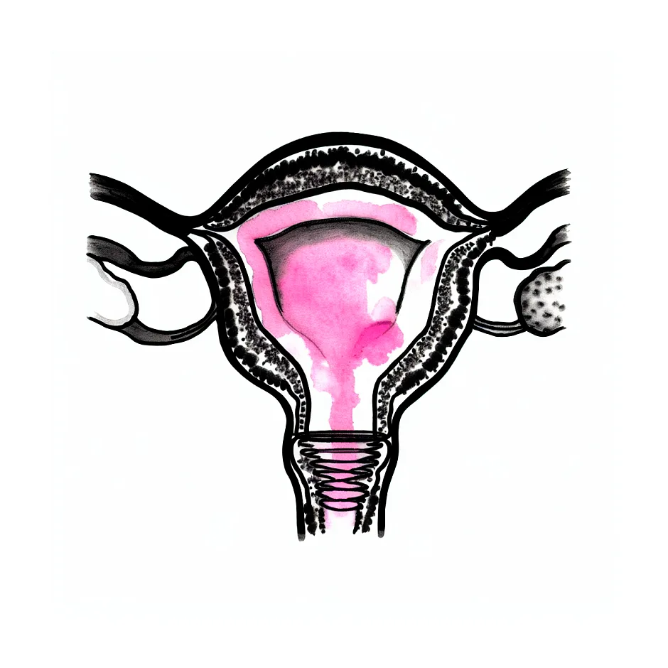 بارداری پس از عمل مخروط‌برداری و وضعیت HPV: آنچه باید دانست