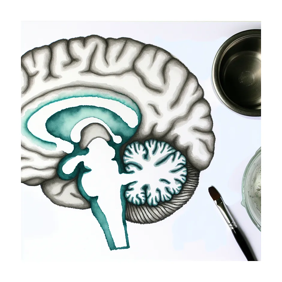 تأثیر استفاده از ظروف آلومینیومی بر سلامتی و حافظه