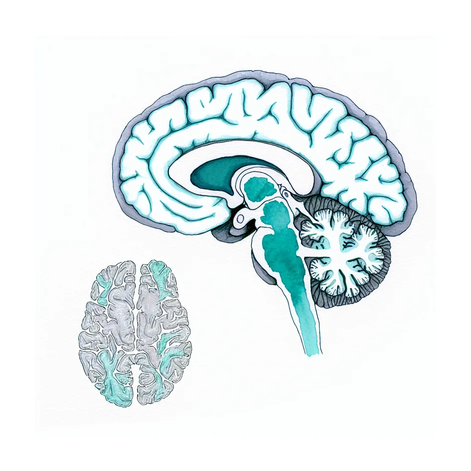 عدم کنترل عضلات در بیماران با بیماری آلزایمر؛ عارضه یا اثر جانبی دارو؟