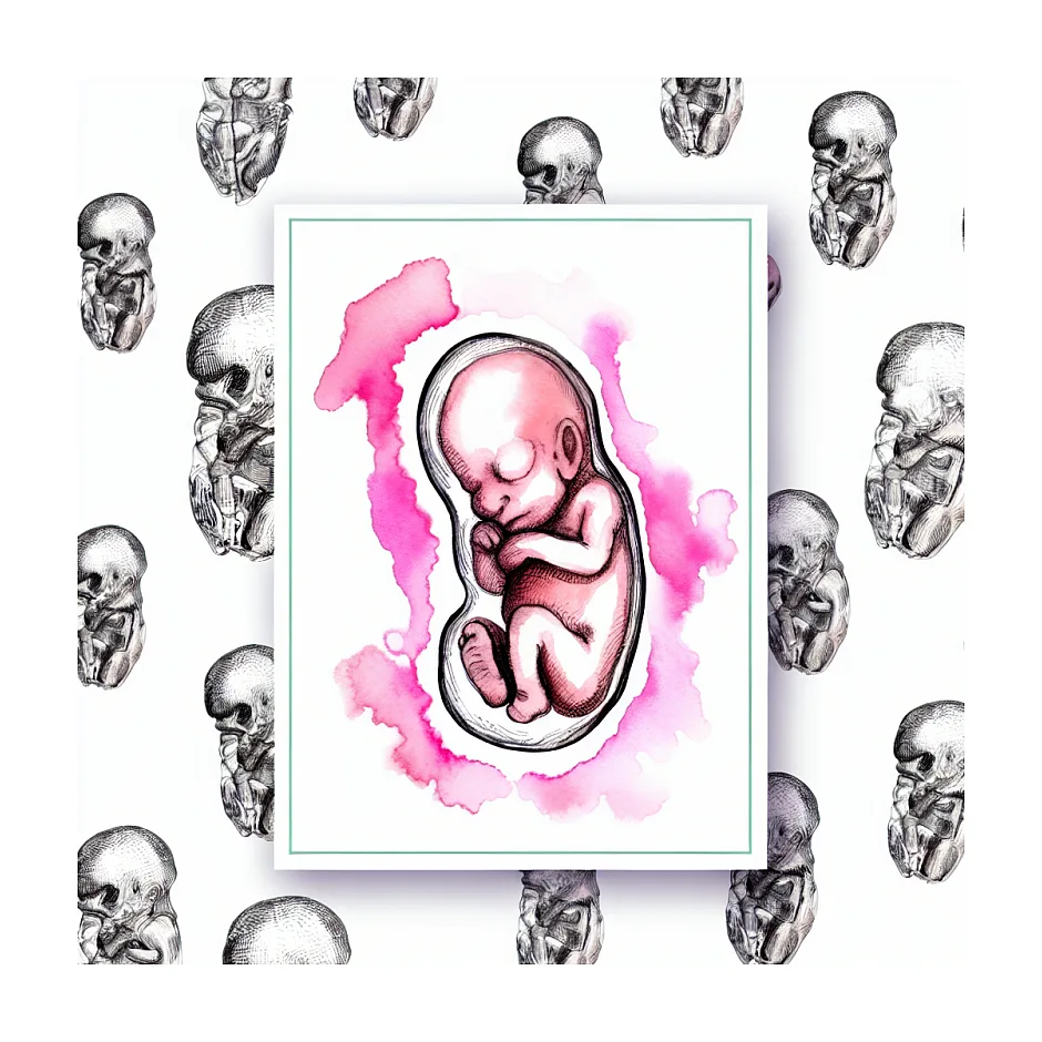 قید کاشت جنین فریز شده در شناسنامه | اطلاعات دقیق و قانونی