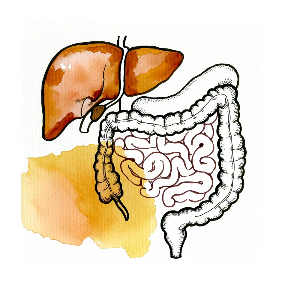 آجیل و تغییر رنگ مدفوع به زرد - علت و توضیحات پزشکی