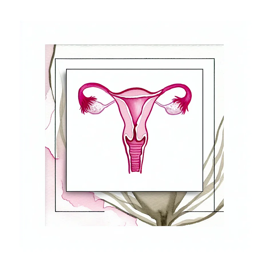 پرده بکارت سپتوم دار: نیاز به جراحی قبل از اولین رابطه؟