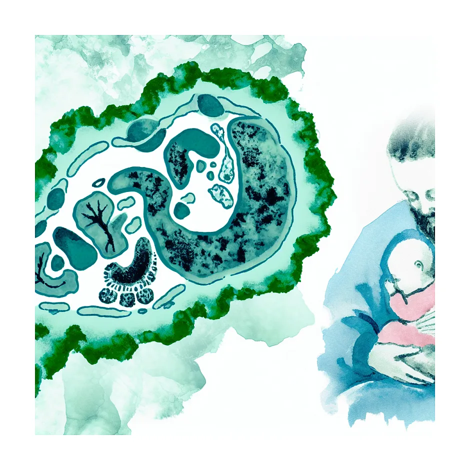 آیا برای زردی نوزاد شیر مادر باید قطع شود؟