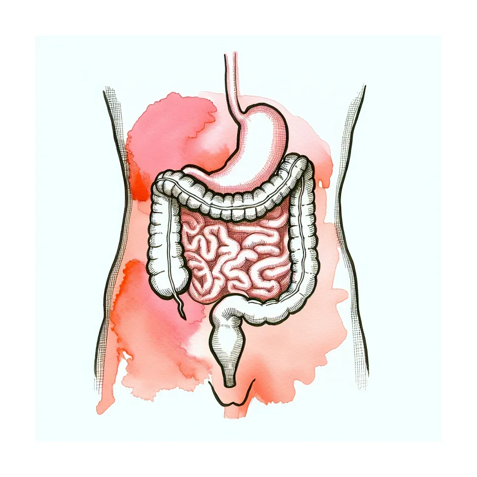 علت احساس سنگینی و فشار در شکم پس از خوردن چیست؟