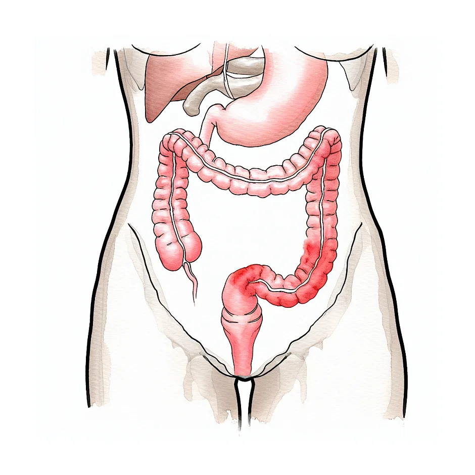 آیا یبوست یکی از علائم حاملگی است؟