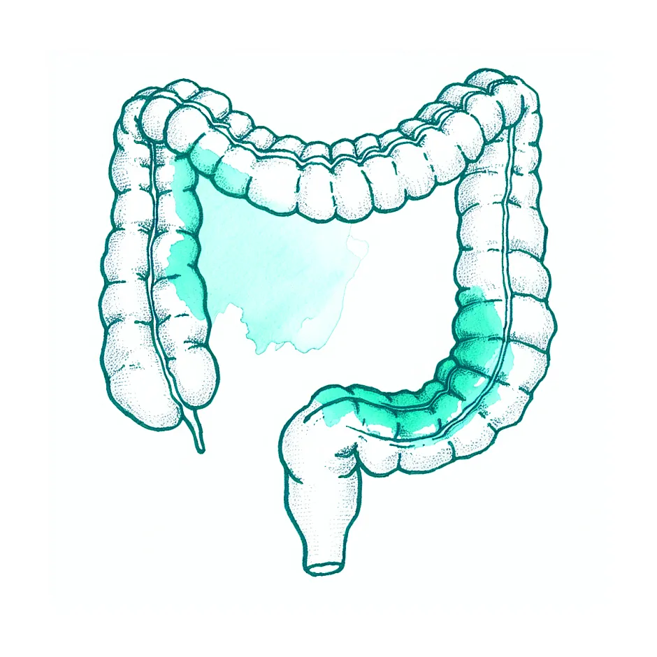 علل دفع مخاط در مدفوع چیست؟