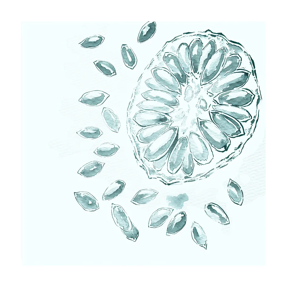 تعین کنید که تخم کتان مناسب برای خانم ها هست یا نه - توصیه های پزشکی