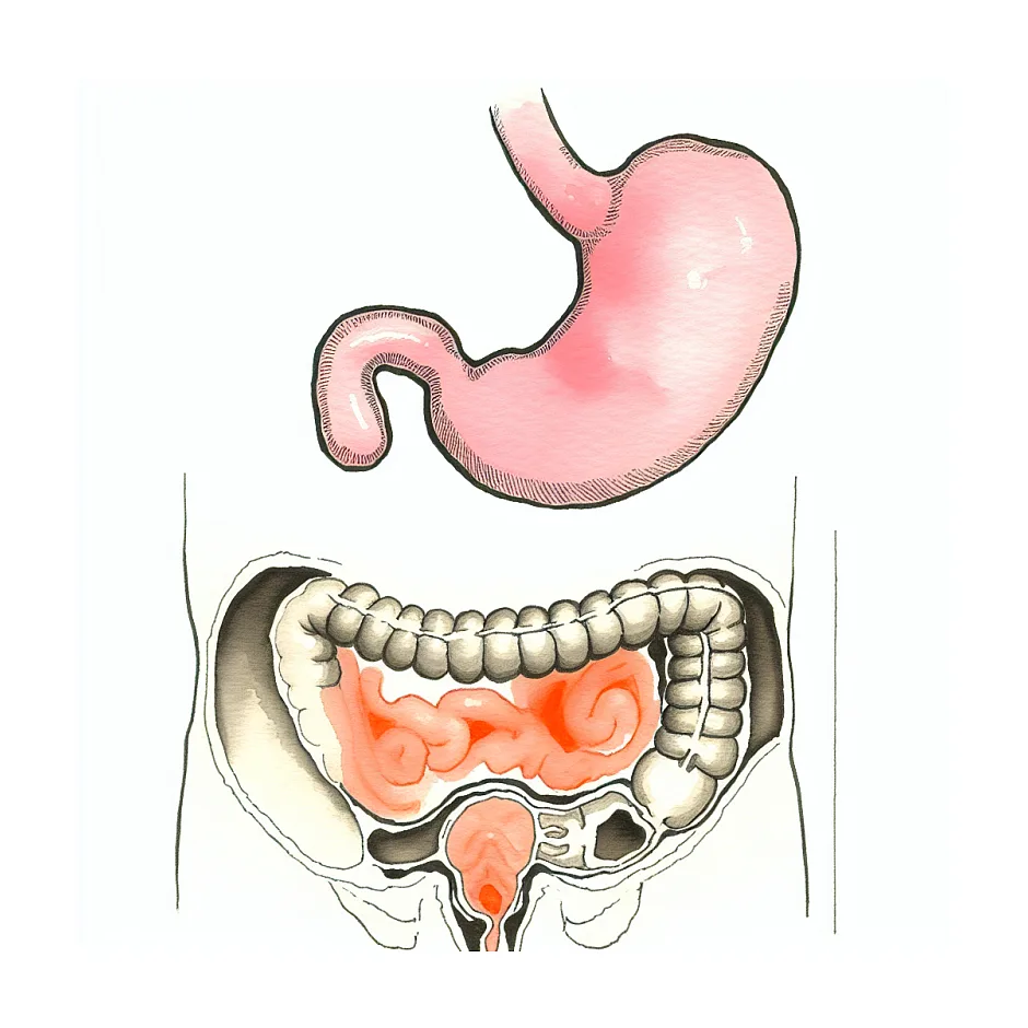 آیا تغییر شیرخشک به سلامتی نوزاد تاثیر می‌گذارد؟ | راهنمایی تغذیه نوزاد با شیرخشک