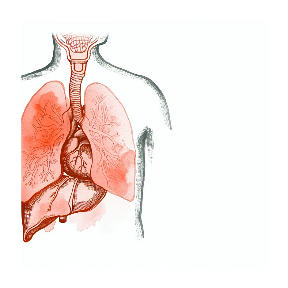 وقت مناسب برای عکس رنگی در چه زمانی است؟