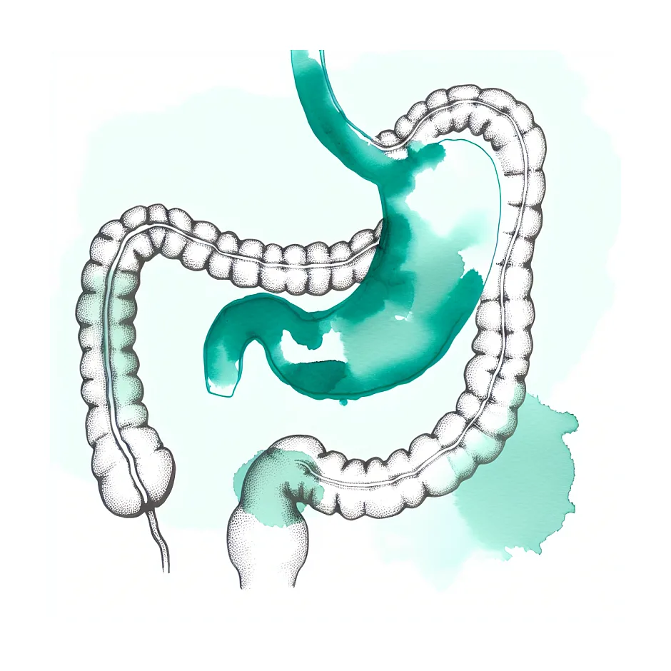 جواب اندوسکوپی یا endoscopy: تفسیر و تشخیص بیماری