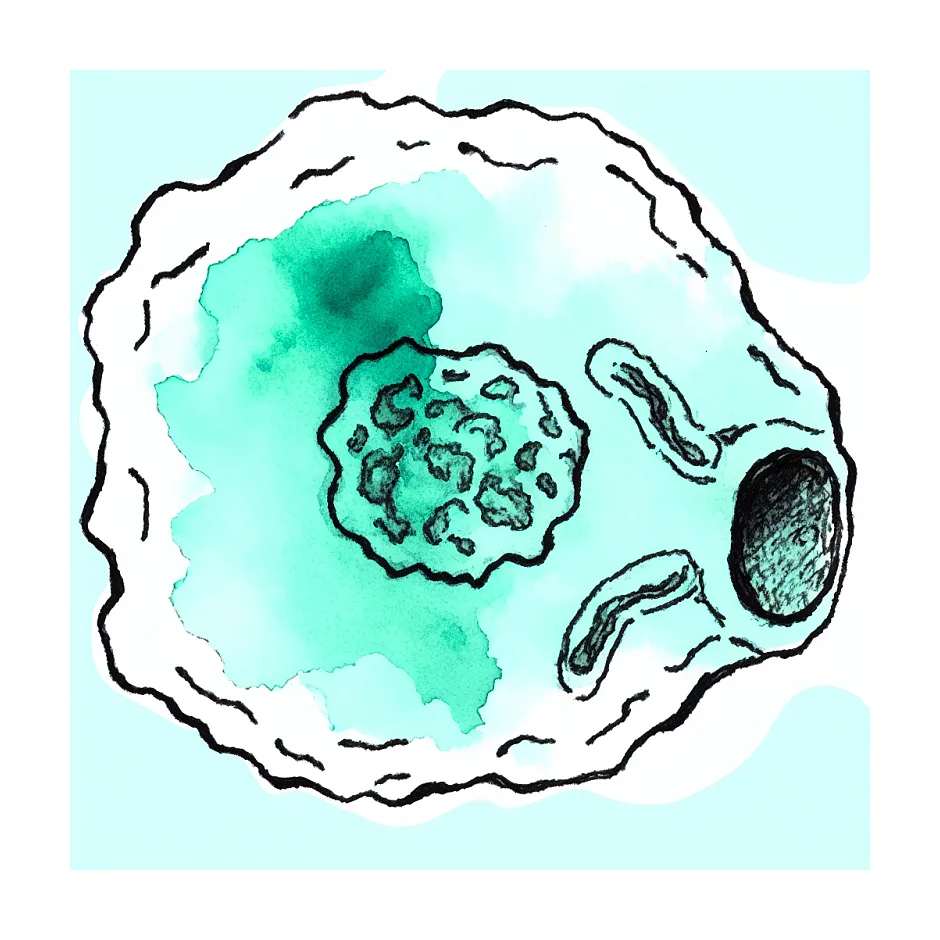 واکسن نوع 61 ویروس HPV: آیا ضروری است؟