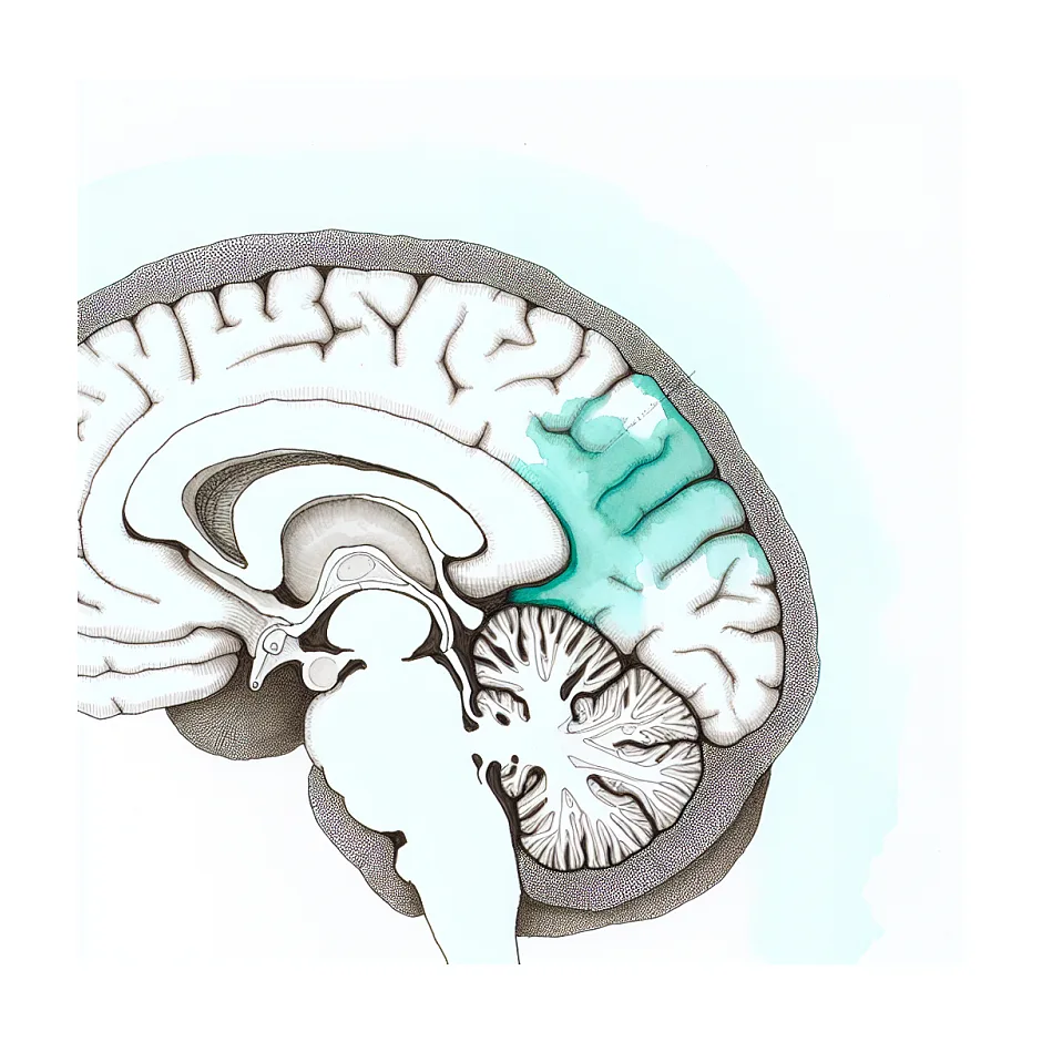 تاثیر دپاکین بر روی حافظه