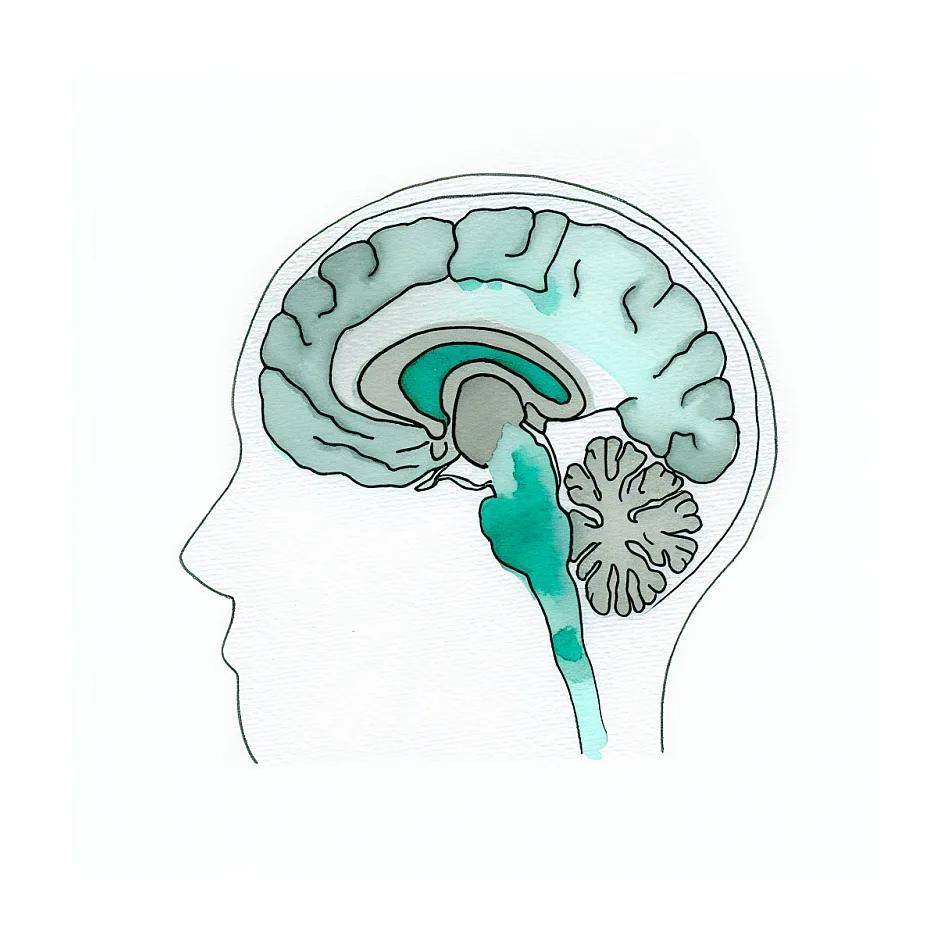 آیا سرترالین باعث کاهش وزن می‌شود؟