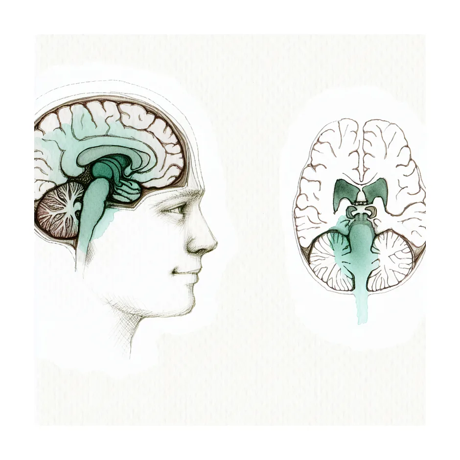 علت سردرد طولانی مدت با عکس MRI نرمال