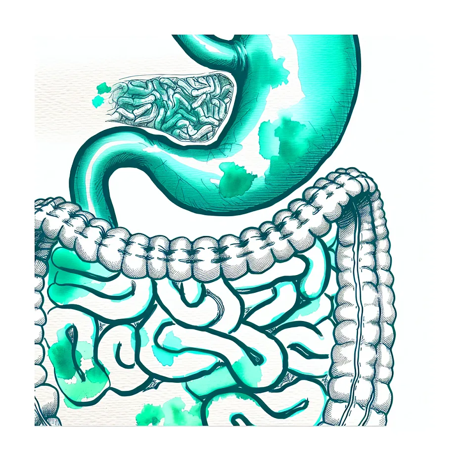 علت زیاد آروغ زدن و نفخ بعد غذا