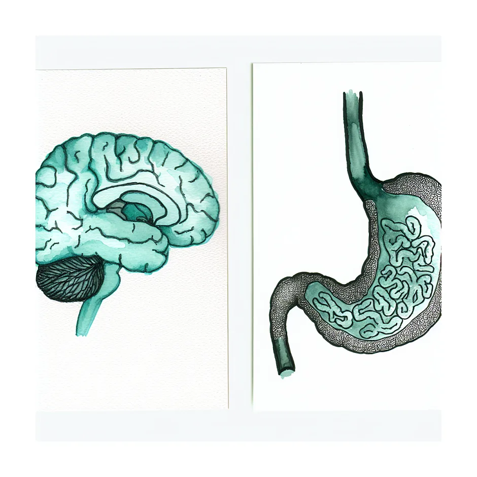 تهوع و سنگینی سر احتمال علت و مشکلات مرتبط